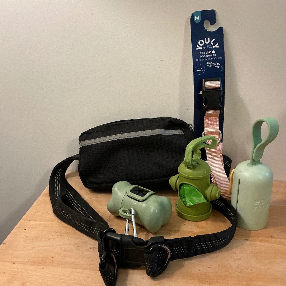 Dog Walkers Essentials, Zipper Belt Bag, 3 Waste bag dispensers, and pink collar